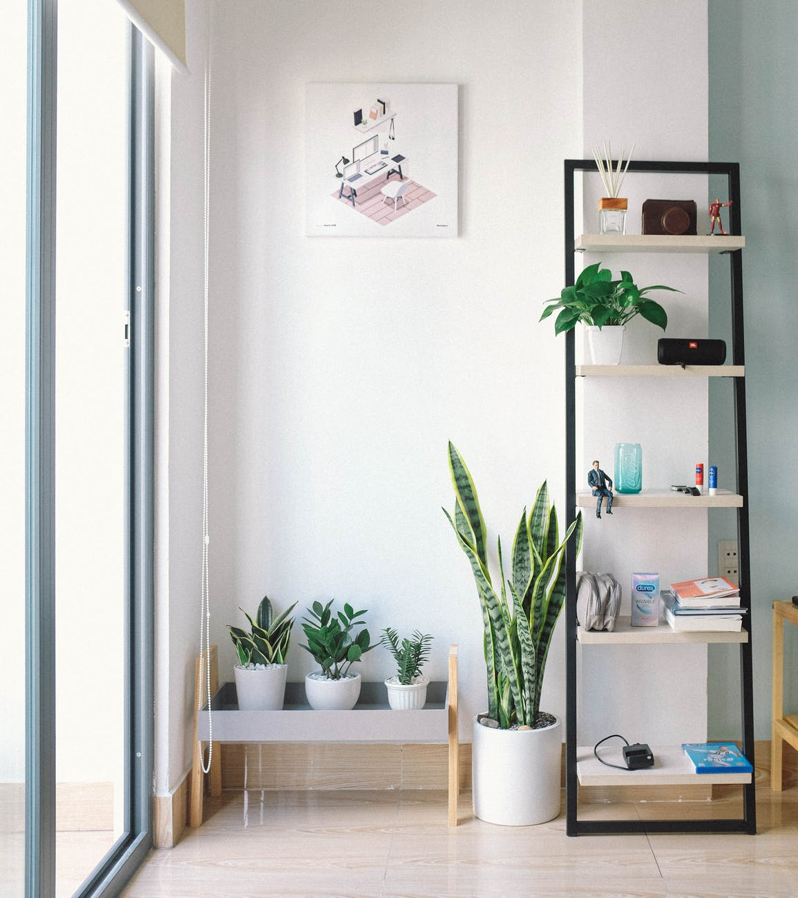 gallery1
