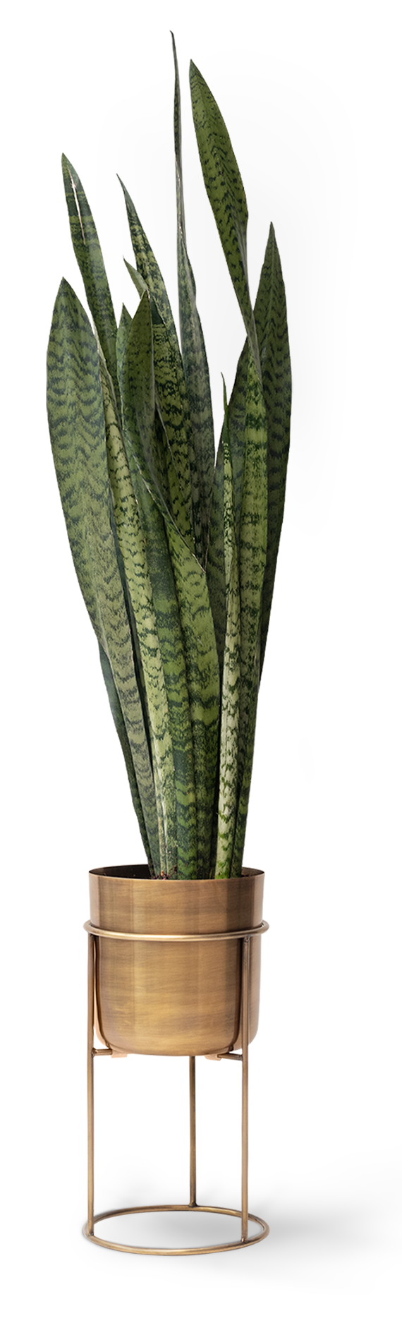 object